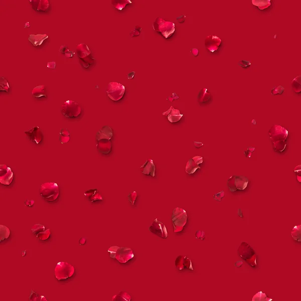 Rose petals on red — Stock Photo, Image