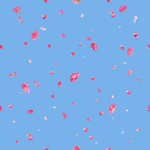 Nahtlose rosa Rosen und Blütenblätter auf blau — Stockfoto