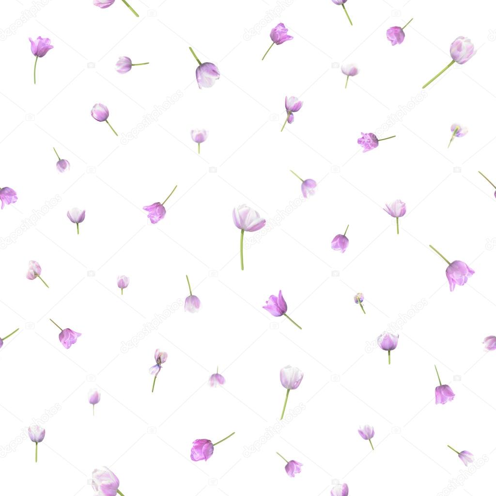 Seamless pink tulips