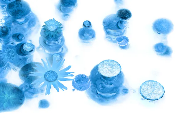 Bolhas de gelo com botões de flor — Fotografia de Stock