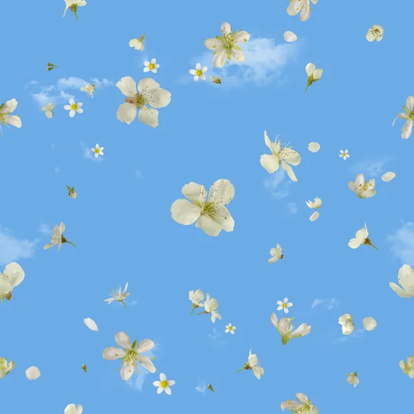 Fliegende weiße Frühlingsblüten am Himmel — Stockfoto