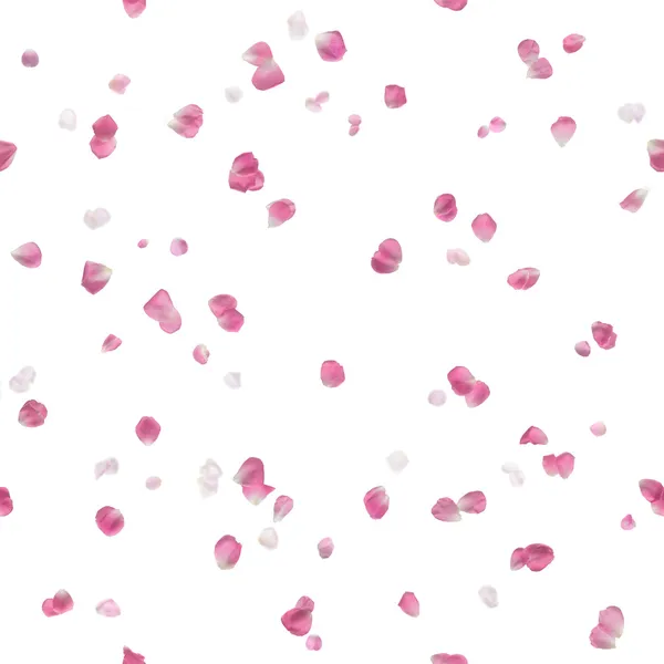 Nahtlos fliegende rosa Rosenblätter — Stockfoto