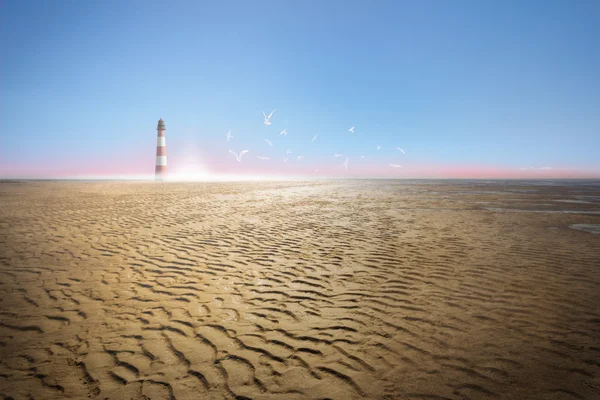 Faro en la costa de la marea de Ebb y gaviotas marinas Imagen de stock