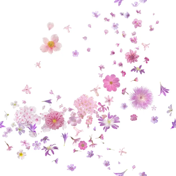 Růžový květ poupata vánek — Stock fotografie