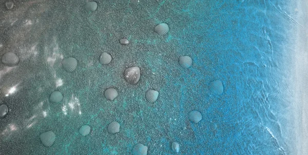 Vulkanische kust met zwarte schelpen — Stockfoto