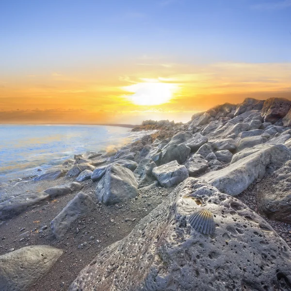 Rocas basálticas en la costa con concha negra — Foto de Stock