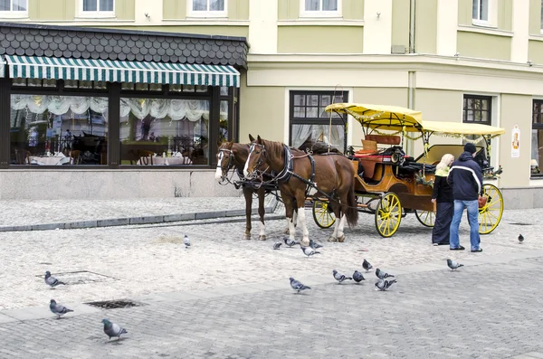 Stroller carriage with horses — Stock Photo, Image