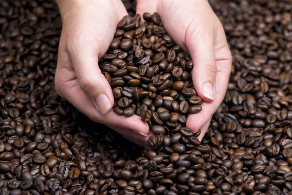 Ruce držící kávová zrna — Stock fotografie