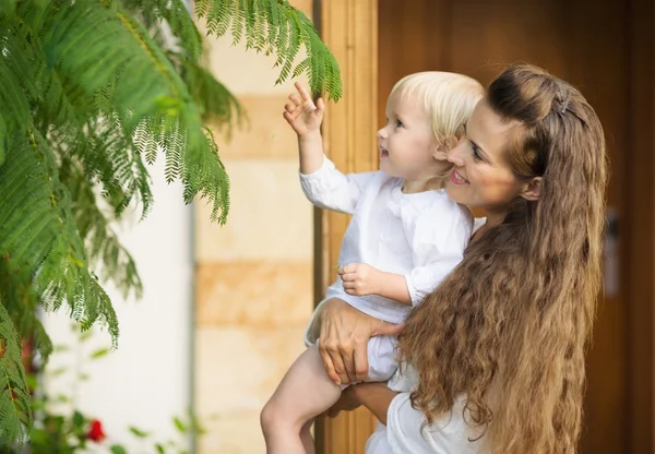 Mother and baby studying plants outdoors — Stock Photo, Image