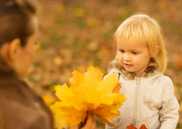 Mother showing baby fallen leaves — Stock Photo, Image
