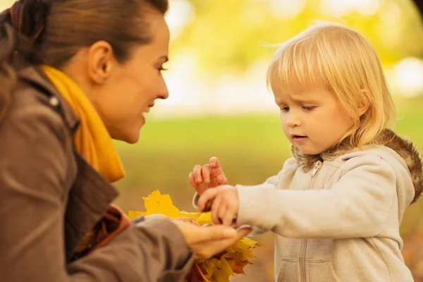 Mother showing baby fallen leaves and chestnuts — Stock Photo, Image