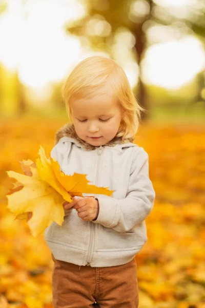 Baby holding fallen leaves — Stock Photo, Image