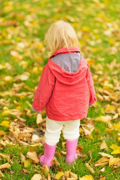 Baby sammelt abgefallenes Laub. Rückansicht — Stockfoto