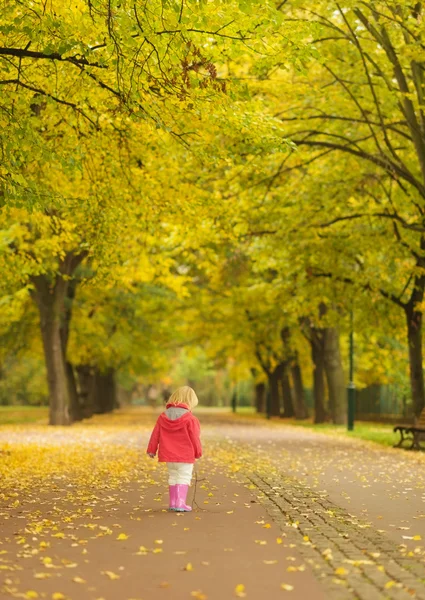 Dítě v parku. zadní pohled — Stock fotografie