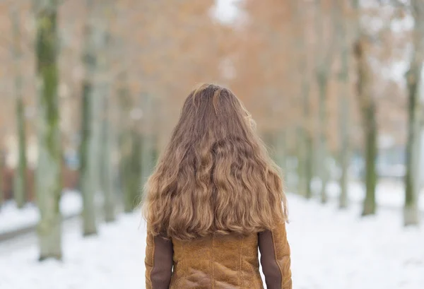 Mujer joven en el parque de invierno. visión trasera — Foto de Stock