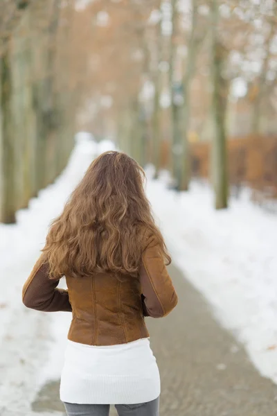 Jeune femme marchant dans le parc d'hiver. vue arrière — Photo