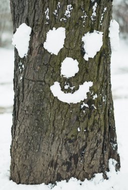 ağaç kar ile yapılan yüz
