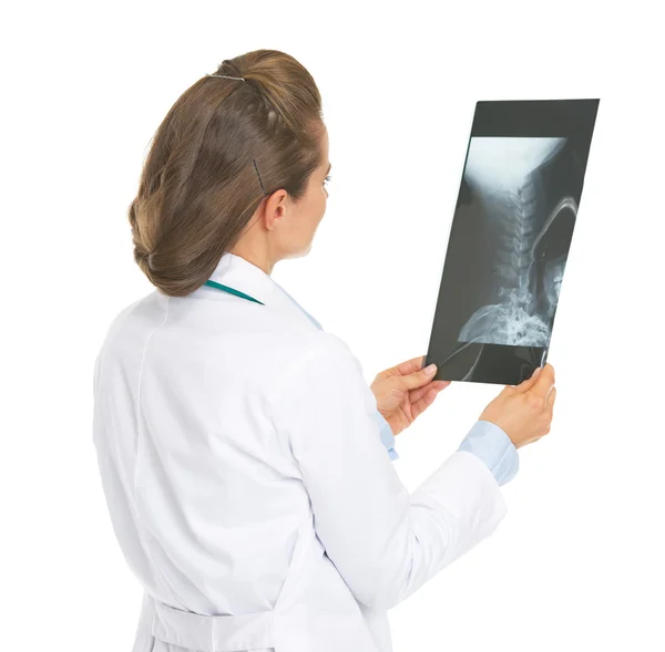 Doctor woman checking fluorography . rear view — Stock Photo, Image