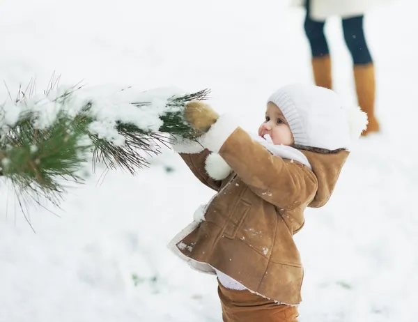 Barnet leker med snö på gren — Stockfoto