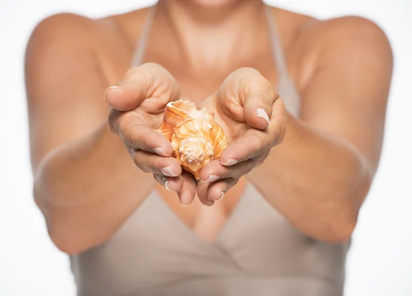 Closeup on sea shell in hands of woman — Stock Photo, Image