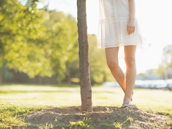 Closeup on young woman legs standing near seedling tree — Stock Photo, Image