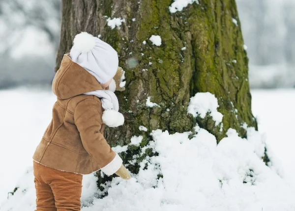 Bébé jouant avec l'arbre en hiver. vue arrière — Photo