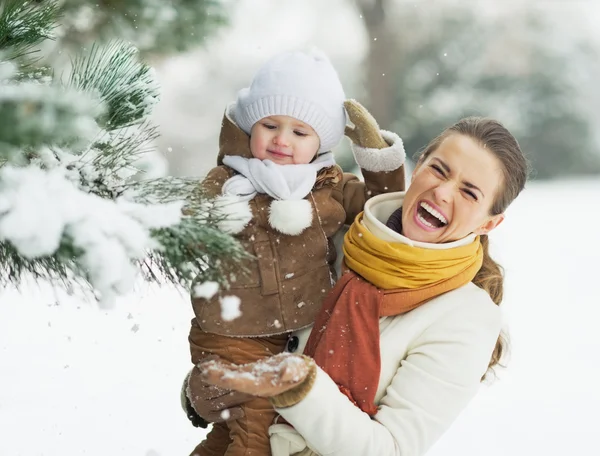快乐妈妈和宝宝玩雪的树枝上 — 图库照片