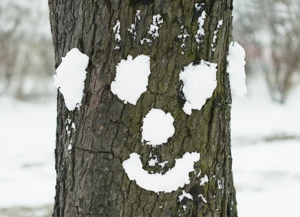 Boom met gezicht gemaakt met sneeuw — Stockfoto