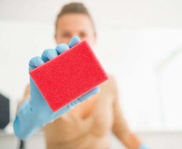 Housewife showing sponge — Stock Photo, Image