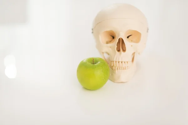 Human skull and apple — Stock Photo, Image