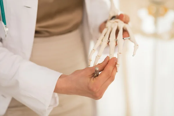 Doctor using skeleton model — Stock Photo, Image