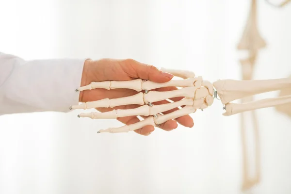 Женщина-врач пожимает руку скелету — стоковое фото