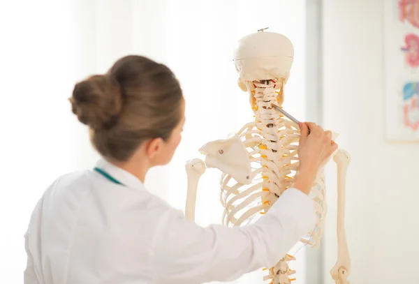 Doctor teaching anatomy using skeleton — Stock Photo, Image