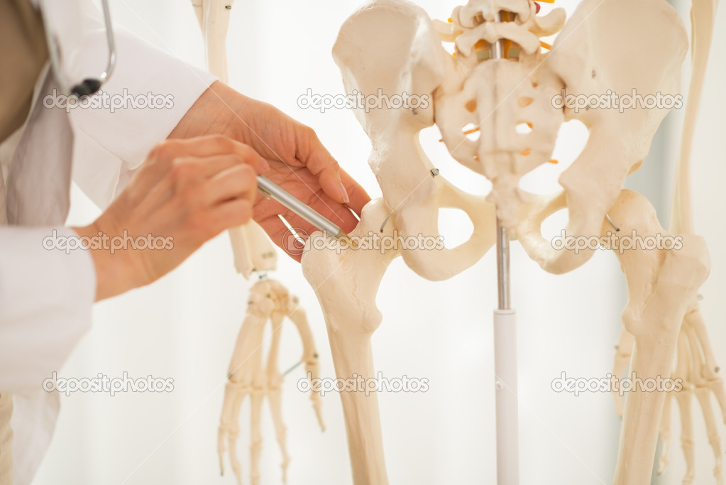 Doctor pointing on femur of skeleton