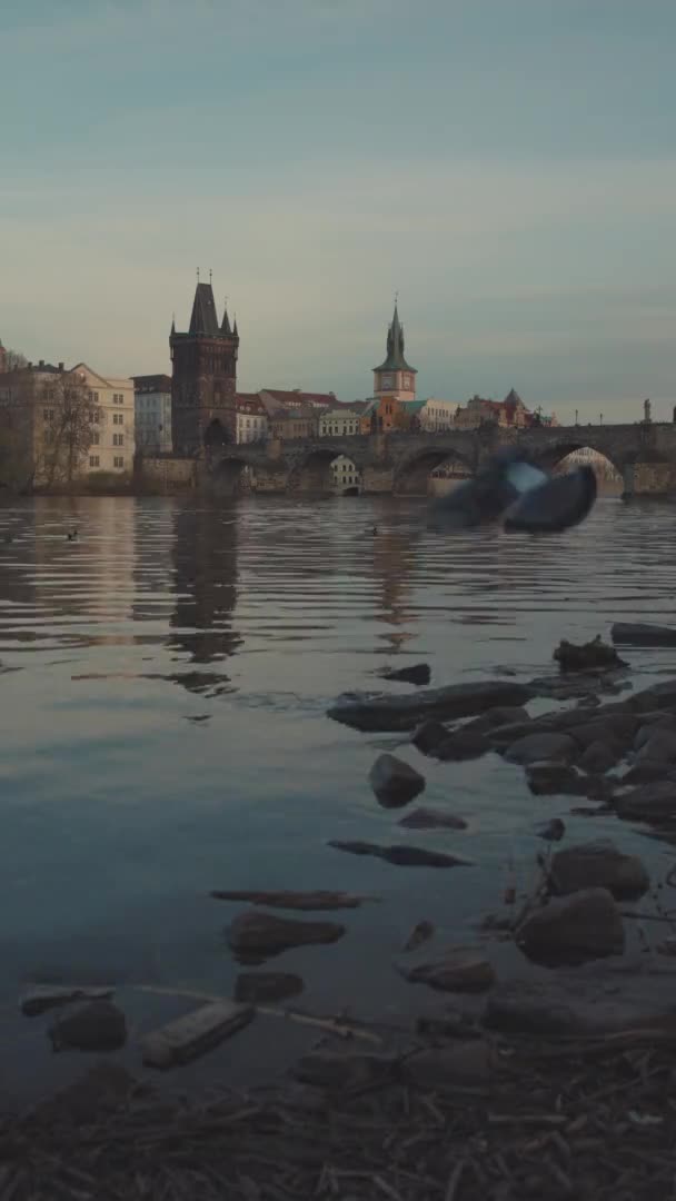 Landschaft Mit Moldau Und Karlsbrücke Prag Tschechische Republik Bei Sonnenuntergang — Stockvideo