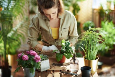 Green home. young female in white rubber gloves with potted plant do gardening at modern home in sunny day.