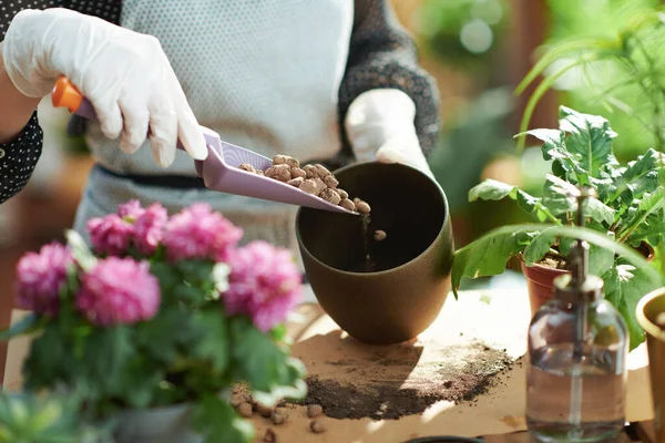 Green Home Closeup Woman Potted Plant Expanded Clay House Sunny — Stock Photo, Image