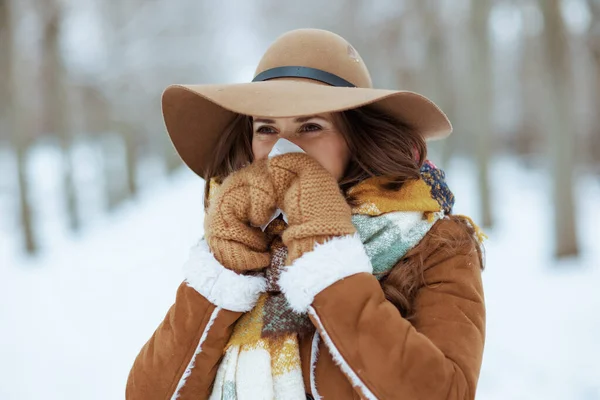Modern Middle Aged Woman Brown Hat Scarf Mittens Napkin Blowing — Stockfoto