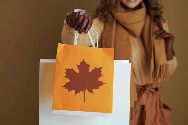 Hello autumn. Closeup on woman in scarf with leather gloves and paper shopping bag against bronze background.