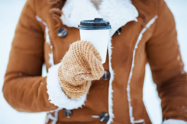 Closeup Female Mittens Cup Cappuccino Outdoors City Park Winter — 스톡 사진