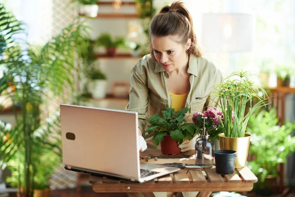 Groen Huis Moderne Bloemist Witte Rubberen Handschoenen Met Potplant Met — Stockfoto