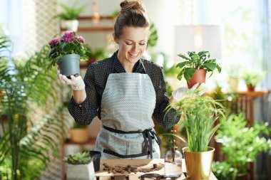 Yeşil ev. Güneşli bir günde modern evdeki saksı bitkisiyle beyaz lastik eldivenler içinde gülümseyen modern orta yaşlı ev kadını..
