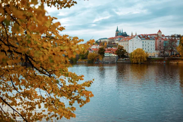 Здравствуйте Ноябрь Прага Рекой Влтава Собором Святого Вита Ветвями Осенних — стоковое фото