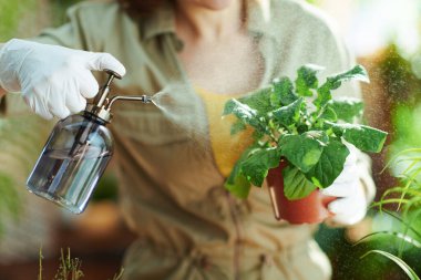Evde bahçeyle uğraşıyorum. Güneşli gün sulama bitkisinin olduğu evde beyaz lastik eldivenli bir kadın var..