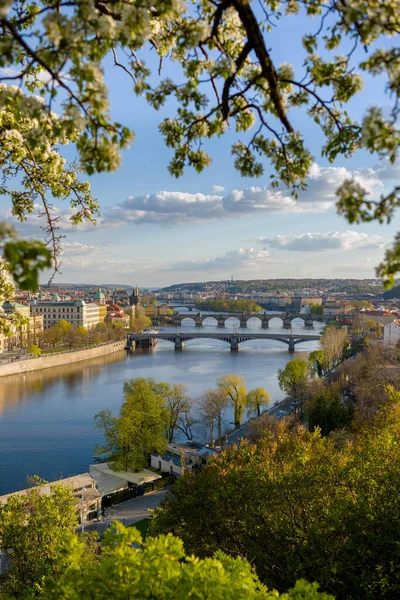 Paysage Avec Rivière Vltava Pont Charles Travers Feuillage Printemps Prague — Photo