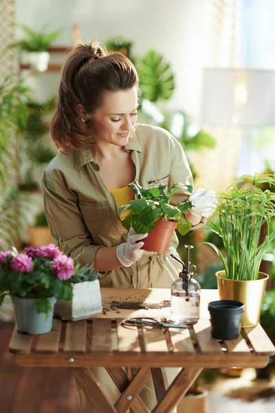 Relaxing home gardening. modern 40 years old woman in white rubber gloves with potted plant do gardening in the modern house in sunny day.