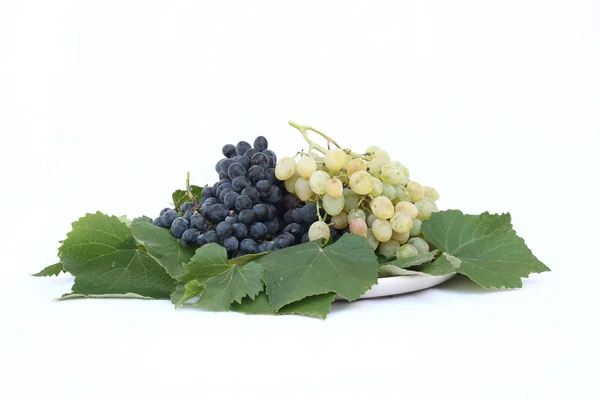 Uvas frescas de vino ecológico azul y blanco en el plato con hojas de vino, sobre el fondo blanco —  Fotos de Stock