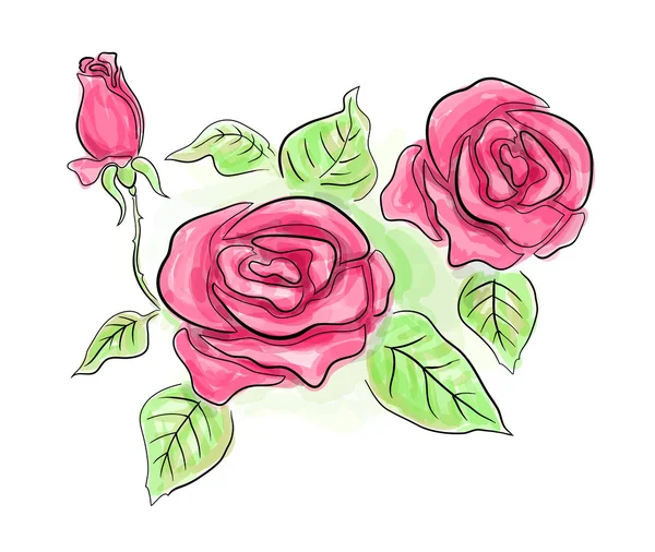 Skiss av rosa rosor i transparenta färger — Stockfoto