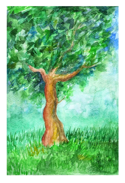 Aquarellbaum — Stockfoto