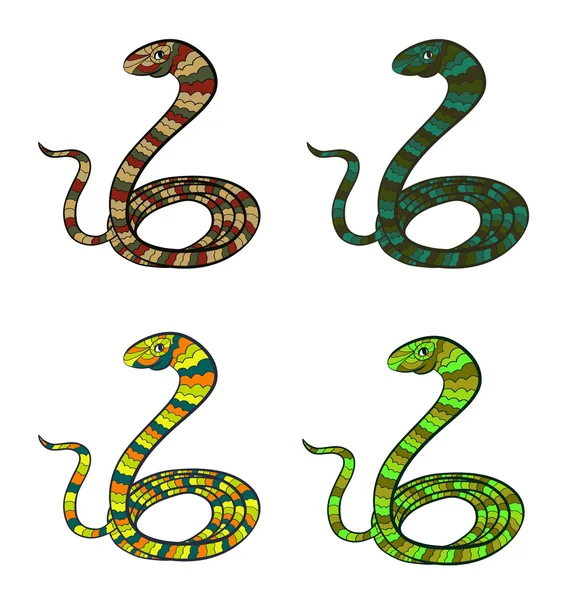 Set of stylized snakes - symbol of year 2013 — ストック写真